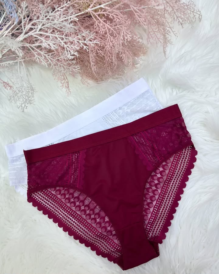 Burgundy Lace & Mesh Bikini Brief