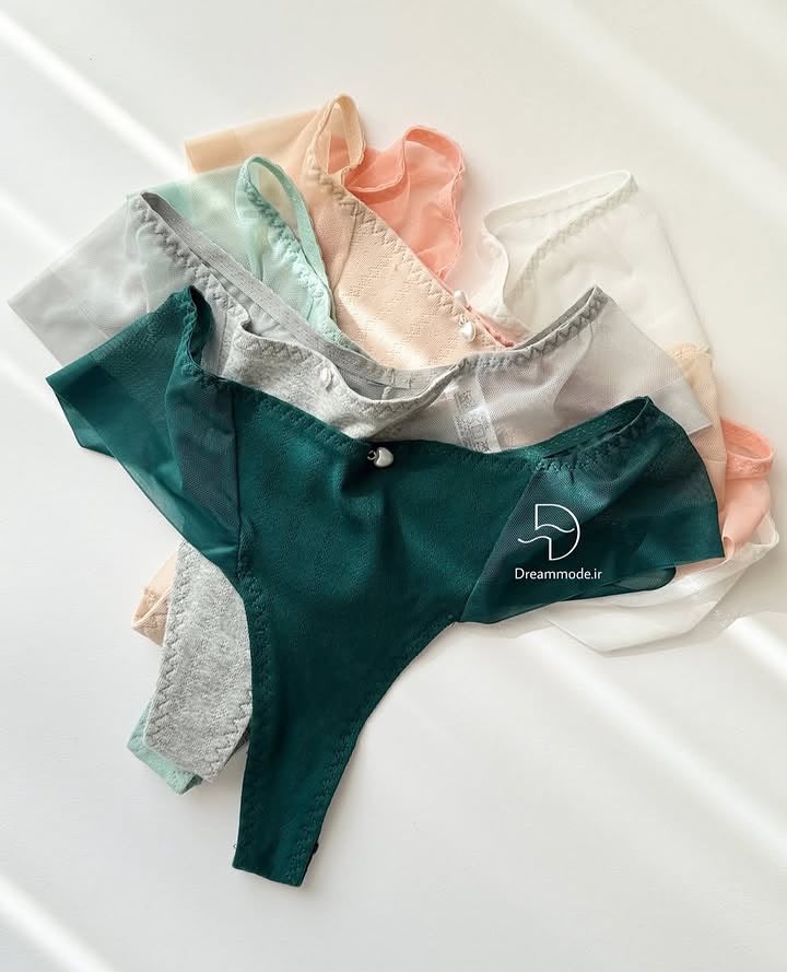 Luxe Lace High-Waist Brief