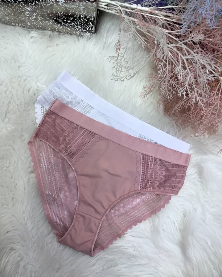 Burgundy Lace & Mesh Bikini Brief